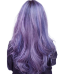How long does lavender hair last